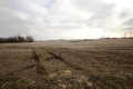 Jerdon Auctions Listing John B. Dale Farm Berrien County MI