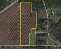 Jerdon Auction Listing G3810 Grgurich Farm Land Van Buren County