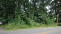 Jerdon Listing W4052 19 +/- Acres Wayne Township